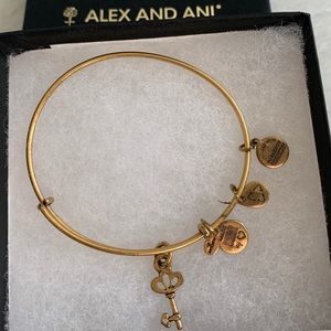 Alex and Ani adjustable bracelet
